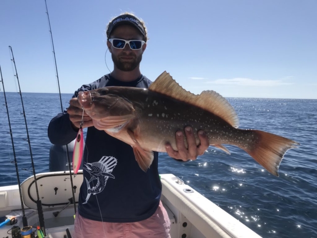 Slow Pitch Jigging for Red Grouper Offshore fishing charter Venice, FL
