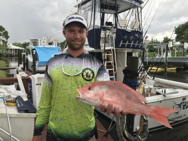 American Red Snapper offshore fishing charter Venice, FL