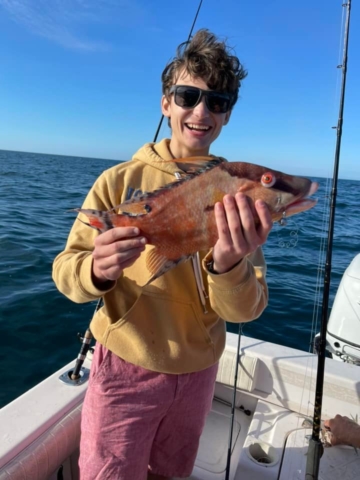 Hog Fish Offshore Fishing Charter Venice, FL