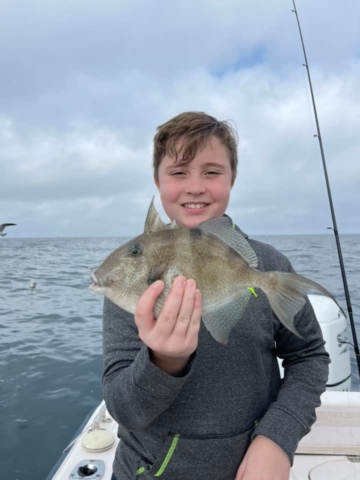 Trigger Fish offshore fishing Charter Venice, FL