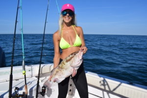 Red Grouper offshore fishing charter Venice, FL