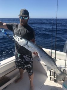 Barracuda offshore fishing charter Venice, FL