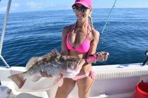 Red Grouper offshore fishing charter Venice, FL