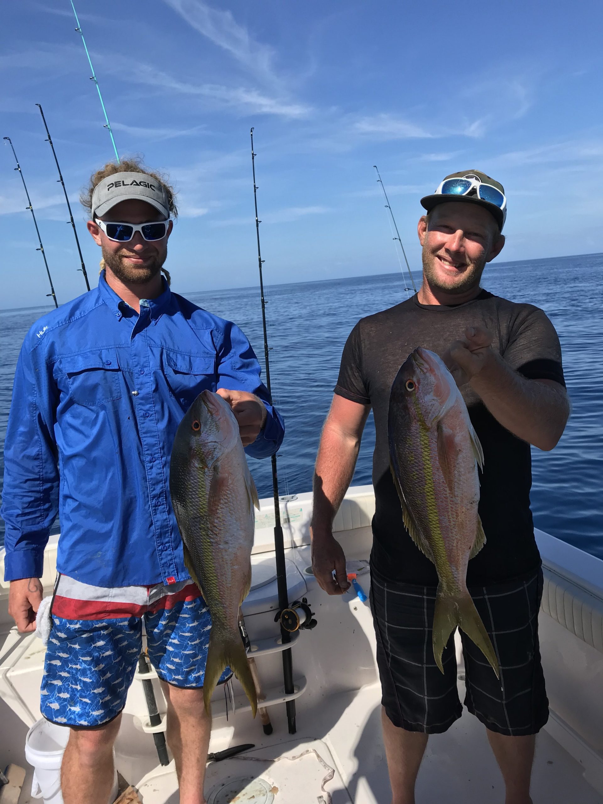Yellowtail Snapper Offshore Fishing Charter Venice, FL Sarasota Florida Siesta Key