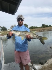 Inshore fishing snook fishing charter Venice, FL Sarasota, FL Siesta Key, FL