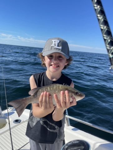 Mangrove Snapper Offshore fishing Venice, FL Sarasota, FL Siesta Key Beach