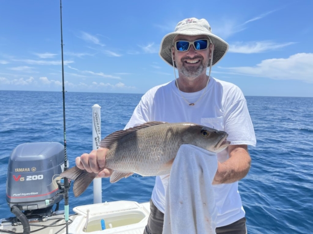 Offshore fishing Charter Venice, FL Mangrove Snapper Sarasota County