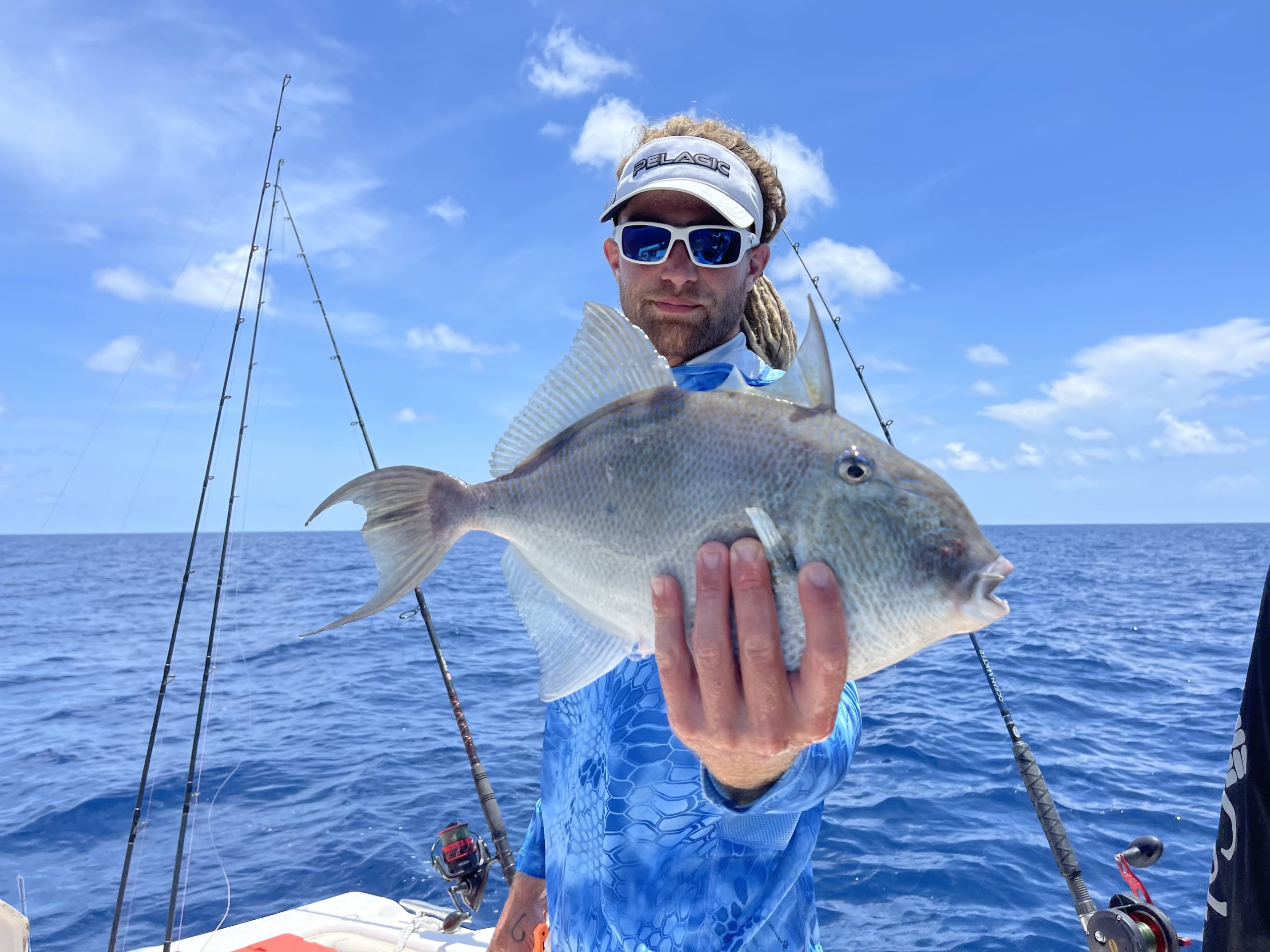 Offshore fishing Venice, Florida Trigger Fish
