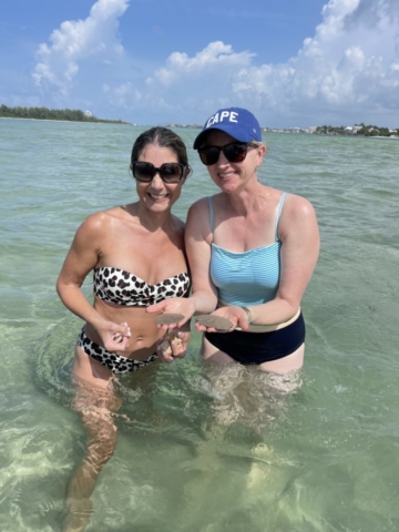 Sand Dollars at the Siesta Key, Florida Sandbar Boat Tours Venice, FL Sarasota, FL Siesta Key, FL