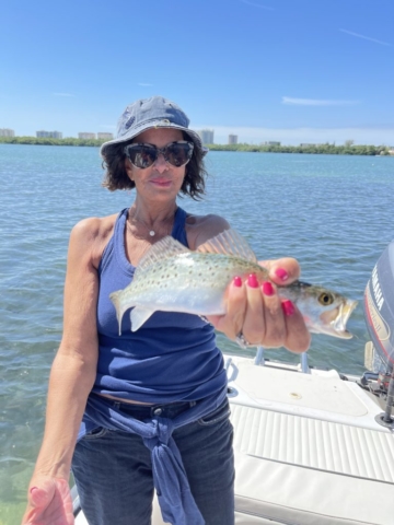 Inshore fishing for Spotted Sea Trout