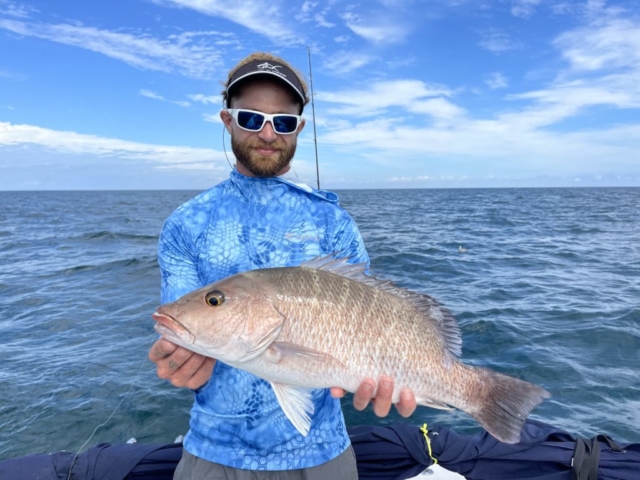 Mangrove Snapper Offshore Fishing Charter Venice, FL