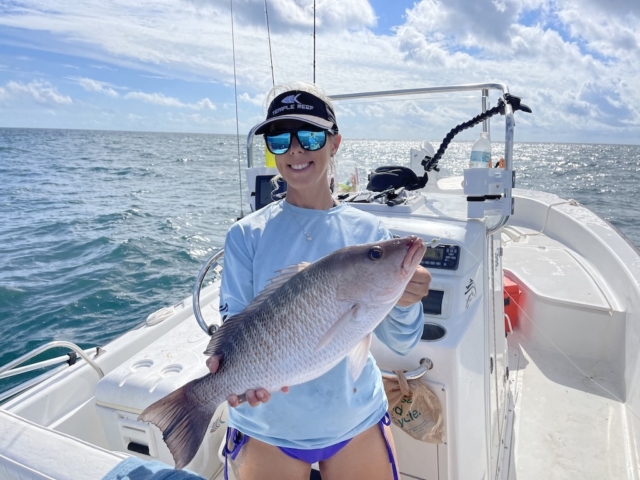 Mangrove Snapper Offshore Fishing Charter Venice, FL