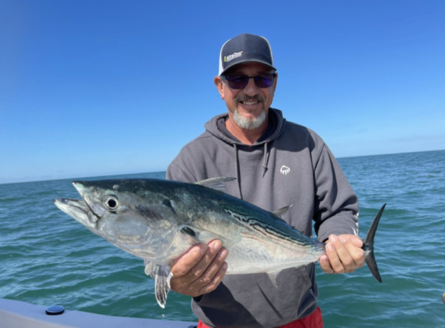 Offshore fishing for Bonita