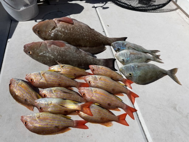 Offshore Venice, FL Fishing Charter