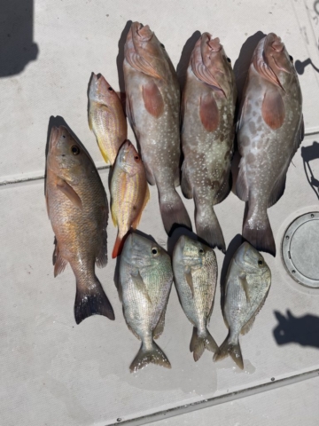 Angling with Adria Fishing Charter Venice, FL