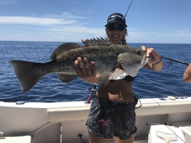 Gag Grouper Offshore fishing Charter Venice, FL