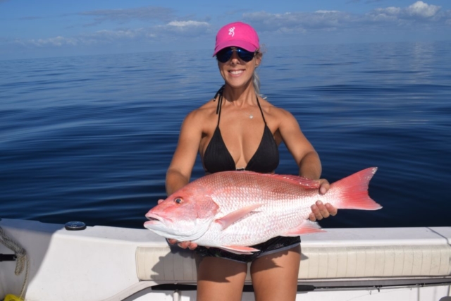 American Red Snapper Offshore Fishing Charter Venice, FL