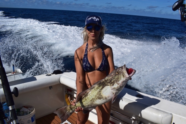 Gag Grouper offshore fishing charter Venice, FL