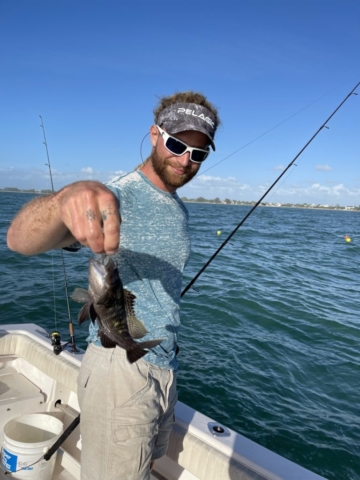 Sea Bass near shore fishing charter Venice, FL Siesta Key Sarasota