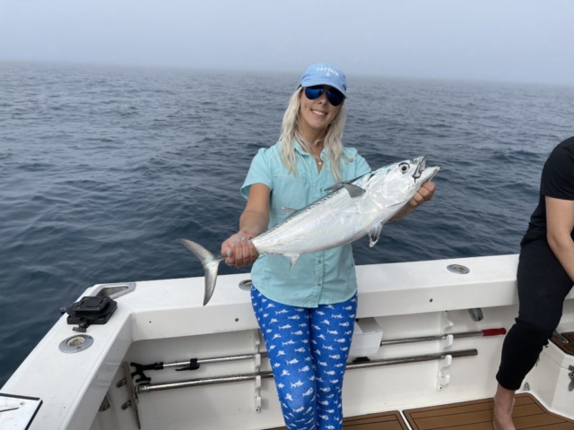 Bonita Offshore fishing charter Venice, Florida Sarasota