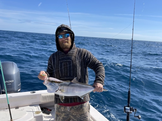 Offshore fishing Charter Venice, FL